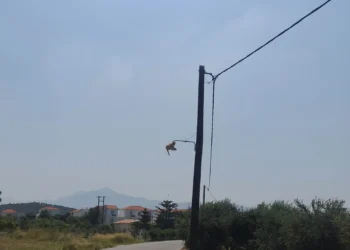 Δήμος Καρύστου ,Δύο Χρόνια και τρείς μήνες για αλλαγή μιάς λάμπας φωτισμού Δημοτικού δρόμου .
