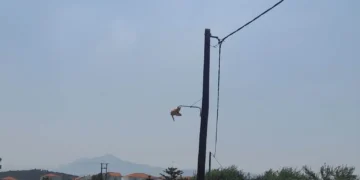 Δήμος Καρύστου ,Δύο Χρόνια και τρείς μήνες για αλλαγή μιάς λάμπας φωτισμού Δημοτικού δρόμου .